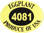 Eggplant