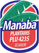 Plantain/Macho