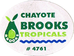Chokoe (Chayote)