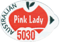 Pink Lady Medium