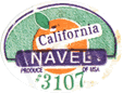 Orange Navel<br>Medium West