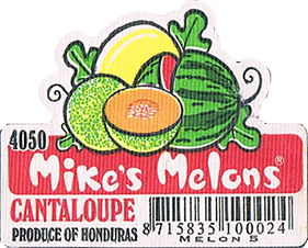 Melon<br>Rockmelon/Canteloupe Large