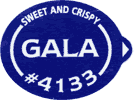 Gala Small West