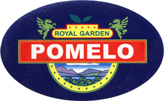 Pomelo