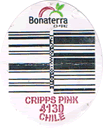 Pink Lady Large