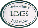 Lime Regular