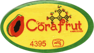 Cooking/Mexican