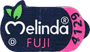 Fuji Medium