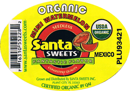 Watermelon Seedless Mini Organic