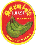 Plantain/Macho