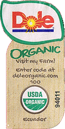 Cavendish<br>Extra Large Organic
