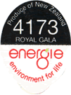 Royal Gala Medium