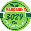 Mandarin Satsuma