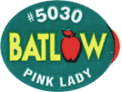 Pink Lady Medium