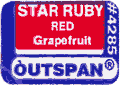 Grapefruit Deep Red<br>Small West