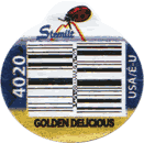 Golden Delicious<br>Large West