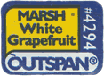Grapefruit White<br>Medium West