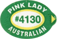 Pink Lady Large