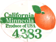 Minneola
