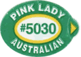 Pink Lady Medium