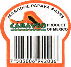 Cooking/Mexican