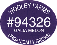 Melon Galia Organic
