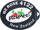 Pacific Rose