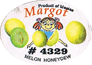 Melon Honeydew/<br>White Honeydew Medium