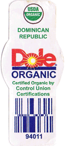 Cavendish<br>Extra Large Organic