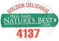Golden Delicious<br>Large East/Central