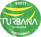 Cavendish<br>Extra Large Organic