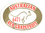 Grapefruit