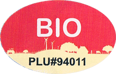 Cavendish<br>Extra Large Organic