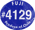 Fuji Medium