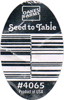 Capsicum<br>Bell Green Large