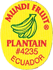 Plantain/Macho