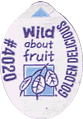 Golden Delicious<br>Large West