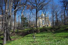 Kiev. A view of St. Vladimir's Cathedral from the Botanical garden.