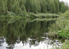 River Shuya, Karelia.