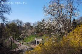 Kiev. The A.V.Fomin Botanical Garden.