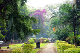 Bangalore. Cubbon Park.