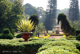Bangalore. Lalbagh Botanical Gardens.
