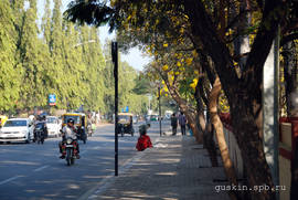 Bangalore. Cubbon road.