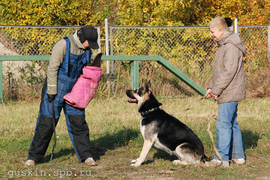 East-European shepherd Verny Drug Kabira with her owner and trainer