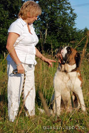 St. Bernard dog Gloria Solo Orbinson Roy and his owner. 