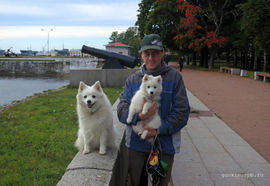 Slava and the dogs in Kronstadt