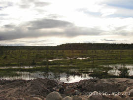 Karelia swamps.