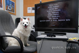 Japanese Spitz Agrarium Qiabel Of Accel and her name in Cuboid game credits.